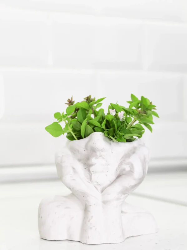 Σε απόγνωση