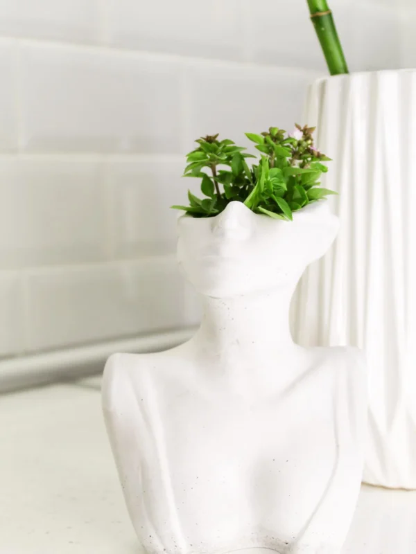 Λολομπριτζίτα